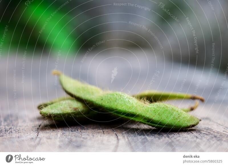 Soybean With Skin agriculture appetizer asian background boiled close closeup cooked cooking crop cuisine cut diet dish early eat eda edamame ethnic farming