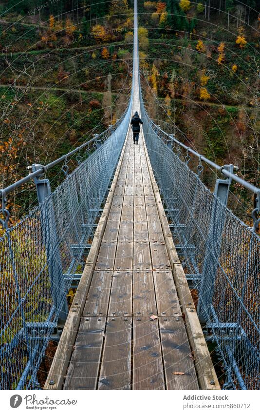 Autumnal trek across Geierlay suspension bridge, Germany geierlay germany autumn foliage walk colorful forest landscape outdoor travel tourism adventure wood