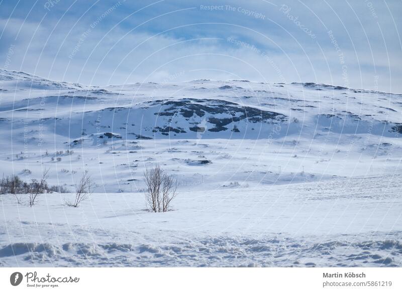 Norwegian high mountains in the snow. Mountains covered with snow. Scandinavia winter winter landscape ice cold tree frost white magic road light lantern motif