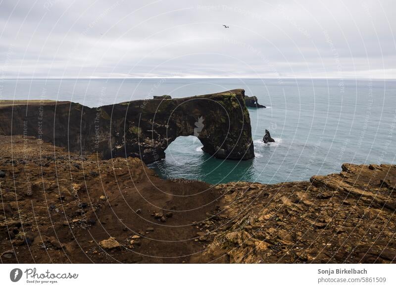 Dyrhólaey in summer in South Iceland coast Ocean Rock Vacation & Travel Adventure Tourist Attraction Landscape Nature Beach Sky Water Exterior shot Clouds