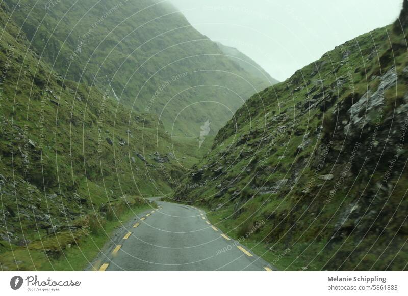 Narrow road through green mountainsides - mystical Ireland Street Slope Green Mystic Irish road trip trace Near Moss Grass rock travel Outdoors Picturesque