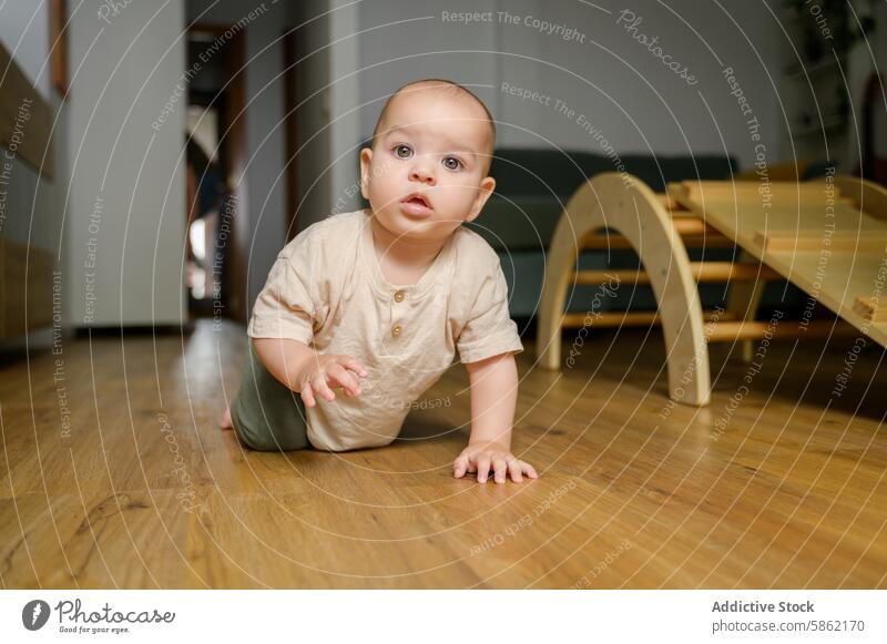 Caucasian toddler exploring home intently caucasian male crawling wooden floor looking away baby indoor curious exploration child innocence youth baby boy