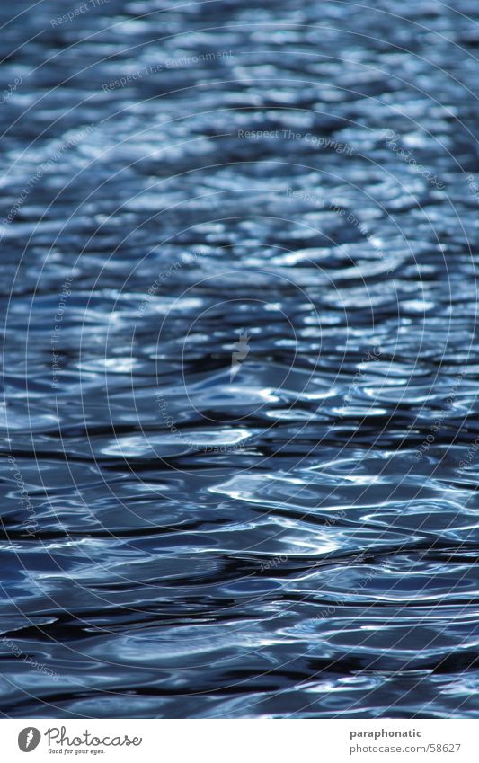 Water - simply water Lake Ocean Flow Calm Relaxation To enjoy Waves Small Sunlight Light and shadow Green Vantage point Exterior shot River Power Blue long wide