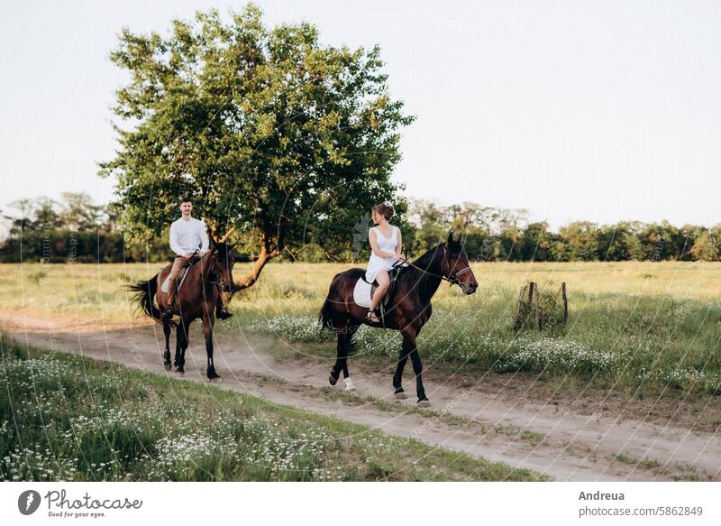 girl in a white sundress and a guy in a white shirt on a walk with brown horses nature forest village young outside the house freedom outside the city road