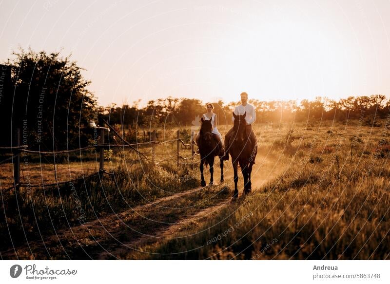 girl in a white sundress and a guy in a white shirt on a walk with brown horses nature forest village young outside the house freedom outside the city road