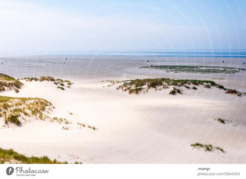 sandy Maritime North Sea coast Nature Beach Mud flats North Frisland Landscape Ocean Sky Amrum Vacation & Travel Tourism Summer dunes Schleswig-Holstein Sand