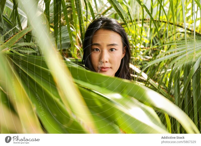 Young Asian woman peering through lush green leaves asian tropical nature outdoors curious direct gaze leaf face framed vibrant palm tree natural light female