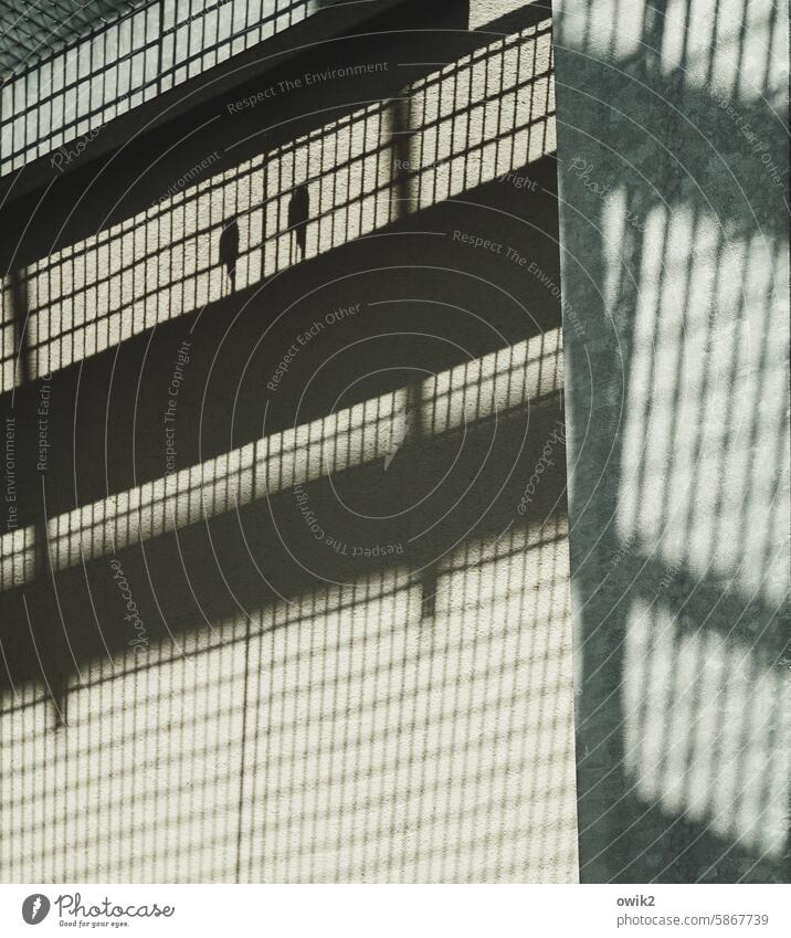 Structure Wall (building) Wall (barrier) House (Residential Structure) Facade Detail Shadow Grating Metal grid Abstract Concrete Contrast Deserted