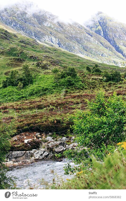 a view of the beautiful valley Valley Hill Green valley hilly Hill side wild plants Territory idyllically Idyll Meadow Body of water Hilly landscape Cold summer