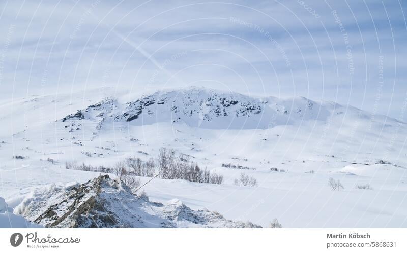 Norwegian high mountains in the snow. Mountains covered with snow. Scandinavia winter winter landscape ice cold tree frost white magic road light lantern motif