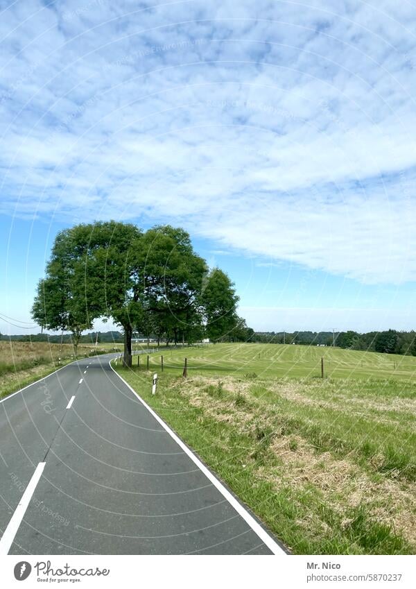 highway Lanes & trails empty street two lanes road trip Asphalt Traffic lane Country road Street on the road Sky Empty Roadside Road traffic Motoring In transit