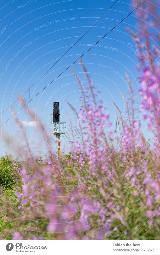 Light signal on railroad line designated as Ks signal main signal Railway signal Combination signal railway line Germany