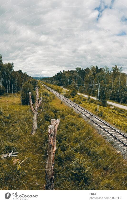 Railroad tracks through green nature Railway tracks Nature Green trees Forest grey sky cloudy rails Rail traffic Landscape Railroad system