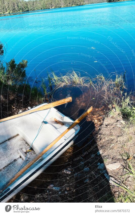 Small rowing boat moored on a lake shore Rowboat Lake bank Nature Blue sky sunshine Landscape Water Lakeside trees Forest Paddle Deserted Surface of water Sun