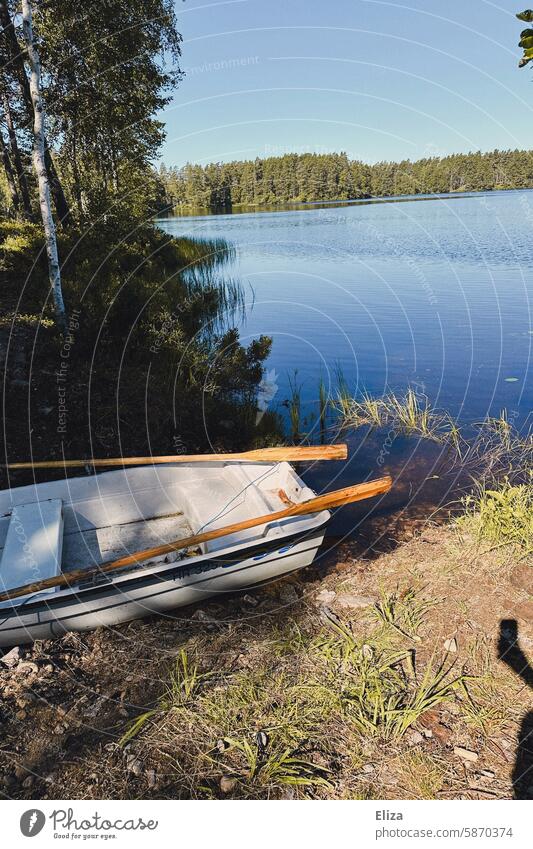 Small rowing boat moored on a lake shore Rowboat Lake bank Nature Blue sky sunshine Idyll Landscape Water Calm Lakeside trees Forest Paddle Deserted