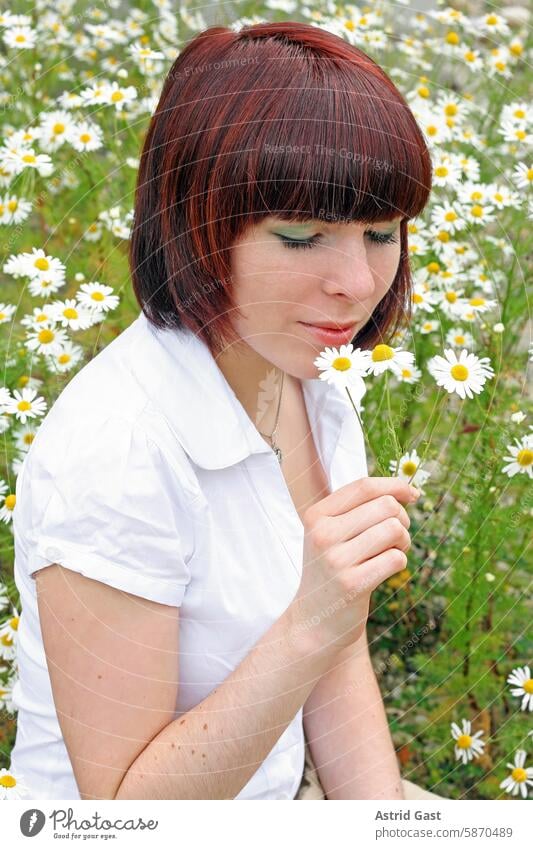 Eine junge Frau riecht in einer Wiese an Kamillenblüten mädchen frau hübsch wiese feld blumen riechen kamille kamillenblüte blühen hand geruch sommer freude