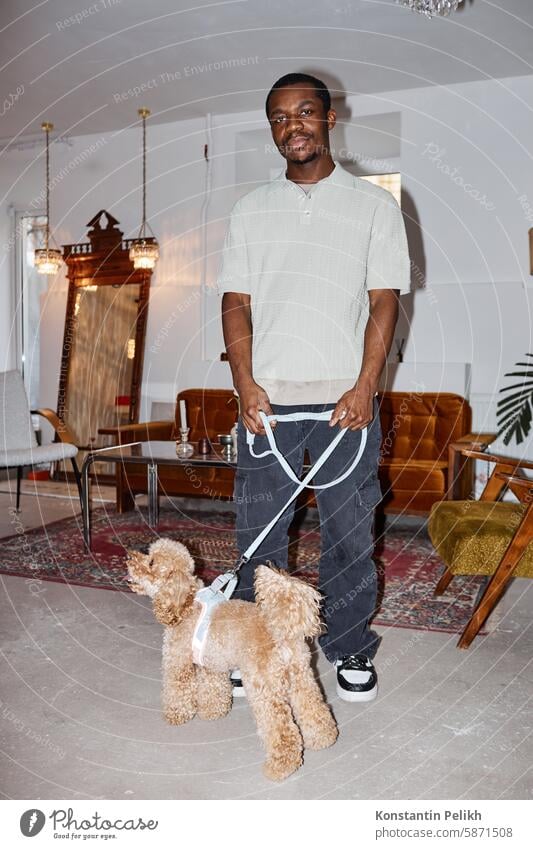 Vertical Portrait of Black Man with Dog in Grooming Studio Camera Flash Black man dog pet care Maltipoo hold leash puppy flash smile couch groom salon Poodle