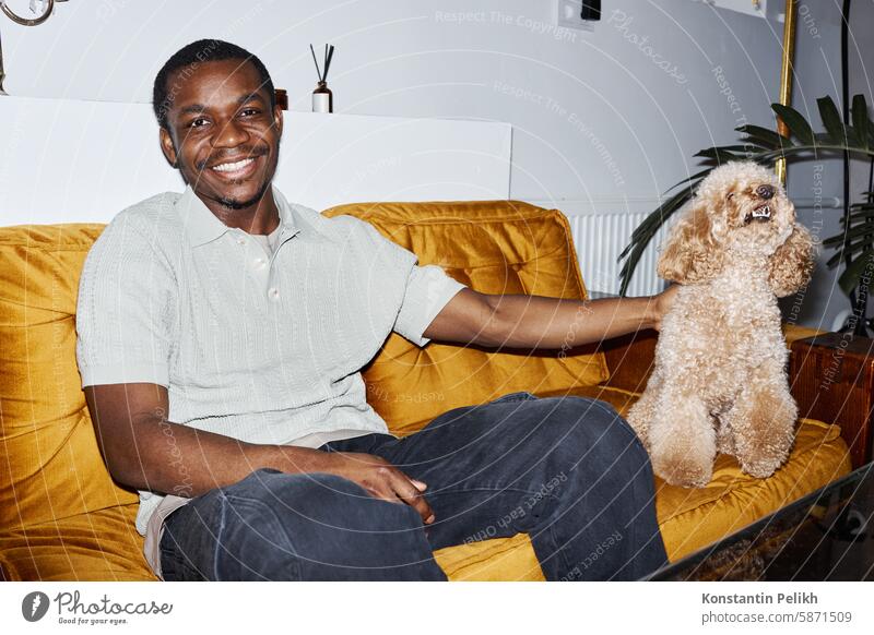 Smiling Black Man Sitting on Sofa with Dog Black man dog pet care Maltipoo hold puppy flash smile sit couch groom home Poodle look at camera sofa curly fur hair