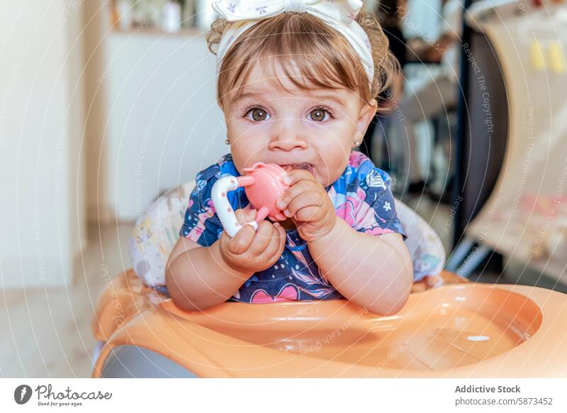 Baby girl enjoying her toy at home baby high chair chewing playful cute eyes outfit casual indoor scene child toddler infant daughter family domestic life