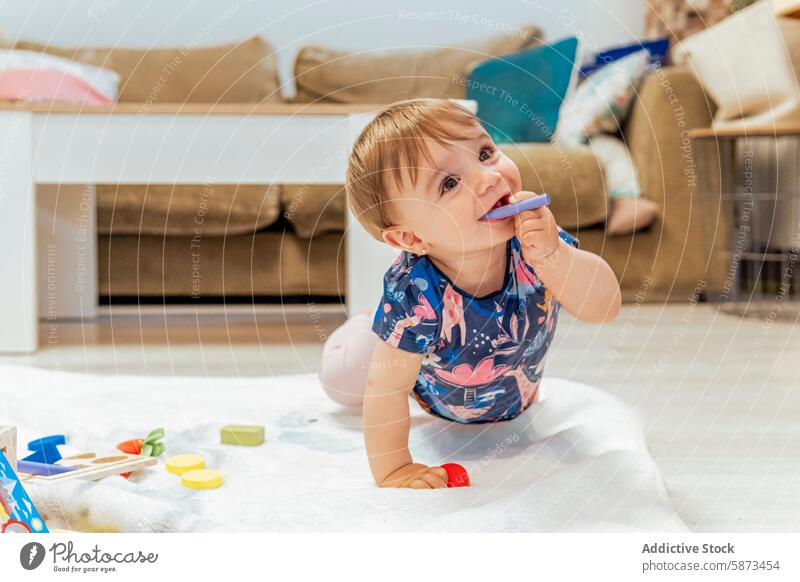 Toddler playing with colorful toys on living room floor toddler home carpet child family indoor joy happiness game crawling baby kid leisure household casual