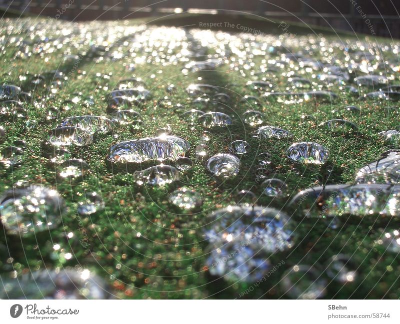 raindrop Reflection Rain Exterior shot Sun Weather Germany Drops of water Detail Macro (Extreme close-up)