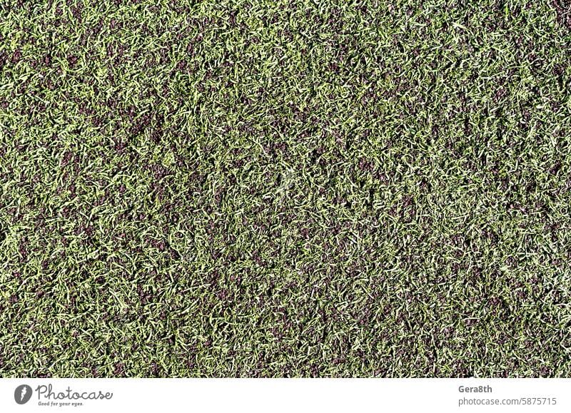 lawn pattern with green grass abstract backdrop background blank city color colorful day decoration decorative design detail empty gray leaves light material