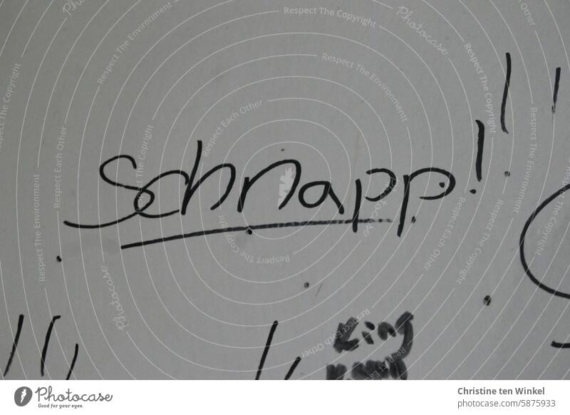 Snap! (Your camera :-)) snap Catch snap shut snapped snatched away Animal Dog Trap Teeth seize To hold on Command Graffito Daub Word Characters Youth culture