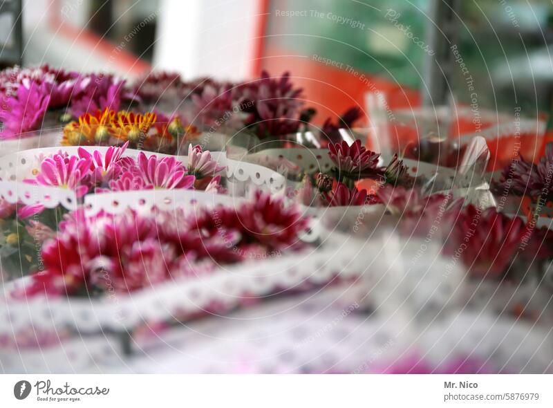 flower shop Flower stall Market stall Farmer's market Flower sale flowers Florist blossom variegated Summer Fresh Bouquet Fragrance Blossoming souvenirs