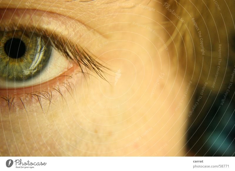 Looking for... Eyelash Headphones Green Brown White Turquoise Man Macro (Extreme close-up) Eyes Hair and hairstyles Detail Skin Reflection