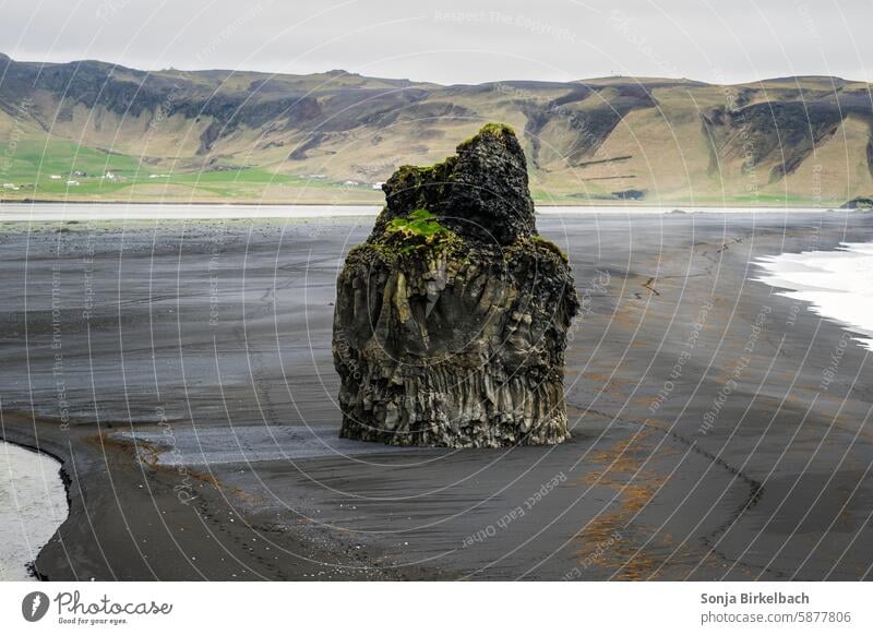 Unique selling point - basalt column on Reynisfjara Beach Iceland Icelandic Black Sand Beach South Iceland Ocean Landscape Nature coast Water Rock seascape