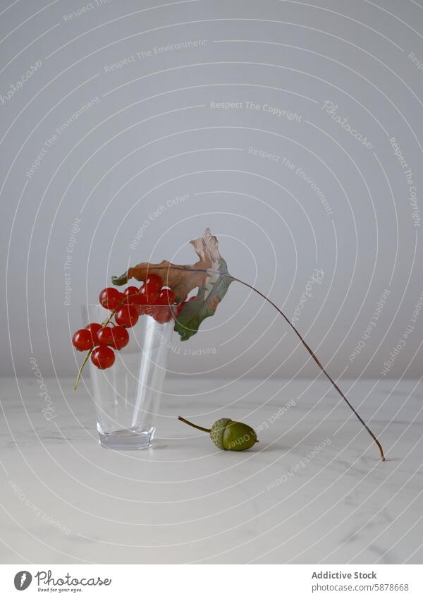 Minimalistic composition with red currants in a glass marble background minimalism simplicity elegance fruit leaf acorn green clear aesthetic vine twig plant