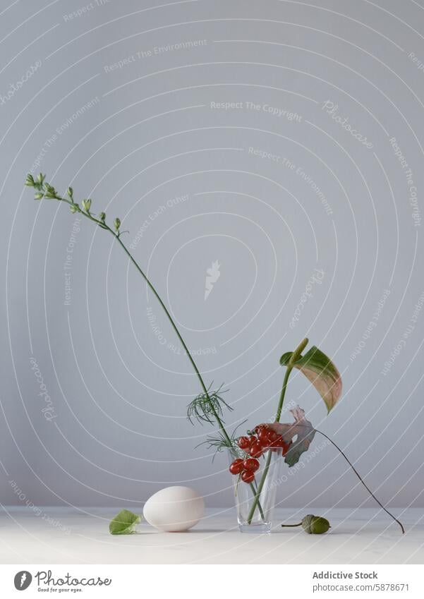 Minimalist still life with egg, plant, and berries in glass minimalist berry vase leaf tendril neutral background composition serene clear simple modern fresh