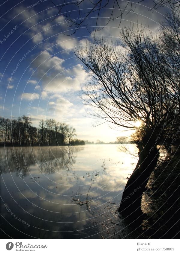 Morning has broken - Lower Rhine version Lake Pond Tree Sunrise Clouds Reflection Niederrhein Xanten Birten Winter Dawn Sky Water Nature Idyll Old Rhine