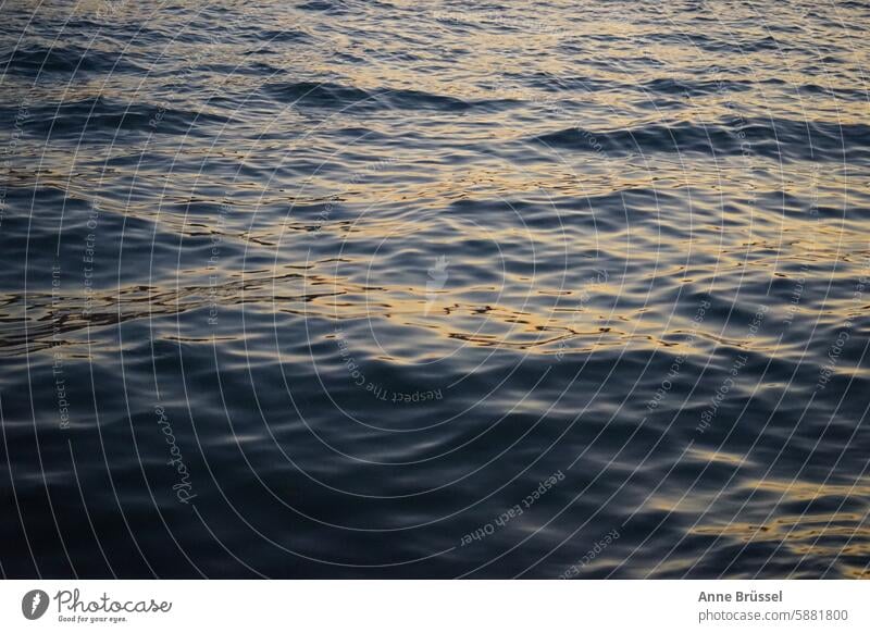 sea surface Ocean Surface Water reflection Blue Calm Waves Deserted Lake Exterior shot