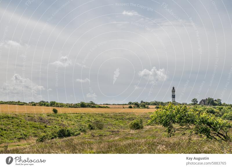 Kampen lighthouse Lighthouse coast Ocean North Sea Landscape Exterior shot Nature Colour photo North Sea coast Schleswig-Holstein braderup heath