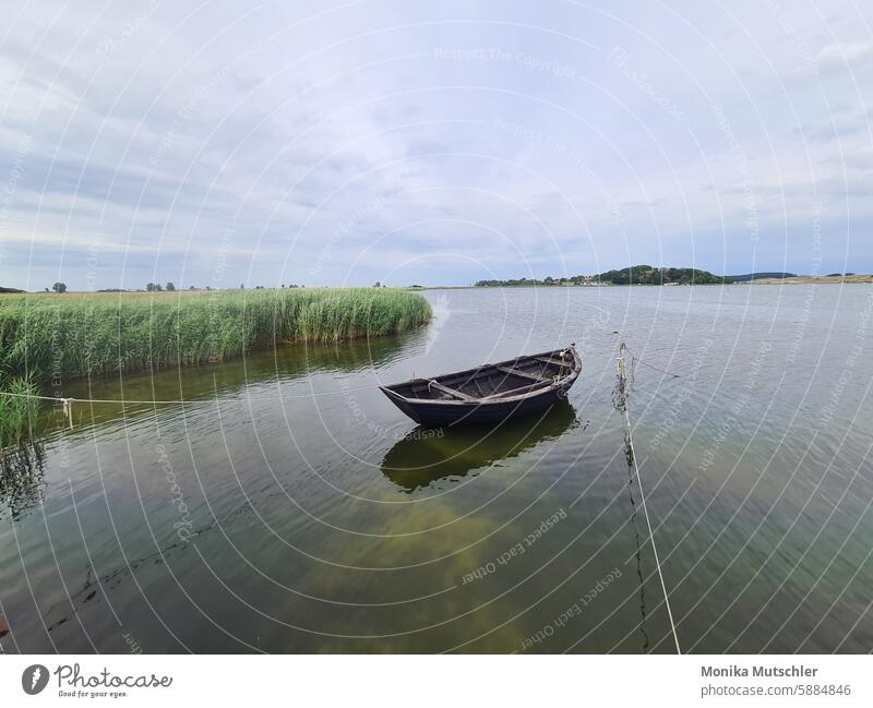 Boat on the Baltic Sea pretty Picturesque Fabulous Fairytale landscape mysterious landscape Moody Dreamily Experiencing nature Day Panorama (View) boating