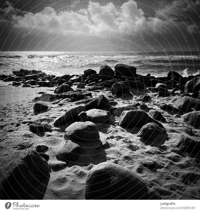 coastline Baltic Sea Ocean Baltic coast Beach Sky Water Landscape Vacation & Travel Nature Sand Clouds Horizon stones Light Baltic beach Denmark Waves Square