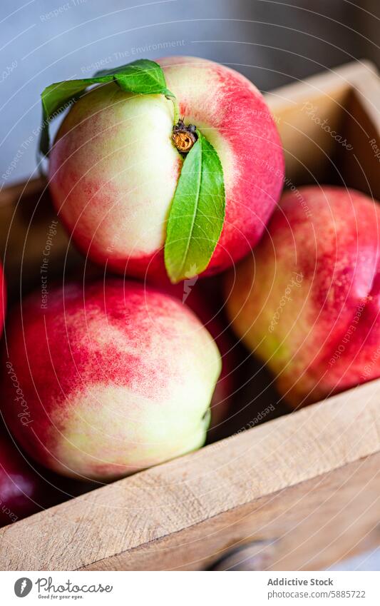 Fresh seasonal nectarines in a wooden crate fruit fresh leaf vibrant juicy rustic close-up produce healthy natural ripe red pink agricultural nutrition diet