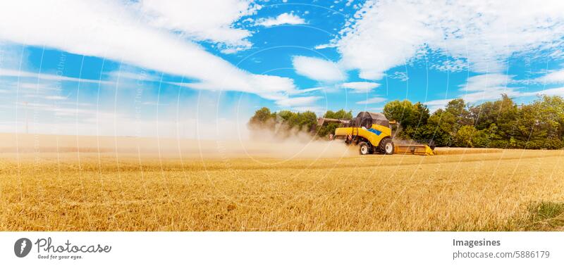 Grain harvest in summer. Combine harvester in use on a wheat field Wheatfield Harvest Mature Agriculture Machinery Field Machines Barley Cereal plant Maize