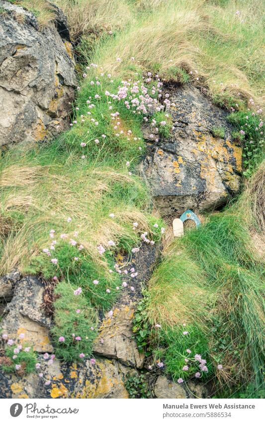 Fairy doors on a grassy cliff face in Ireland. Superstition say steeped in legend customs legendary History of the Novella House (Residential Structure) at home