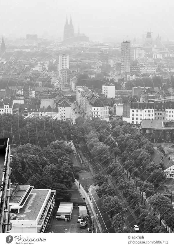 Cologne Cathedral in the haze of the city unicenter Dome Architecture Exterior shot Town Downtown Skyline Building Deserted Manmade structures