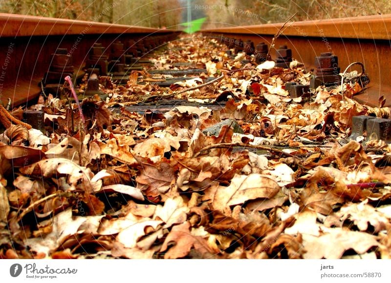 Off to the countryside Railroad tracks Leaf Meadow Green Electrical equipment Technology Transport railway tracks Rust jarts