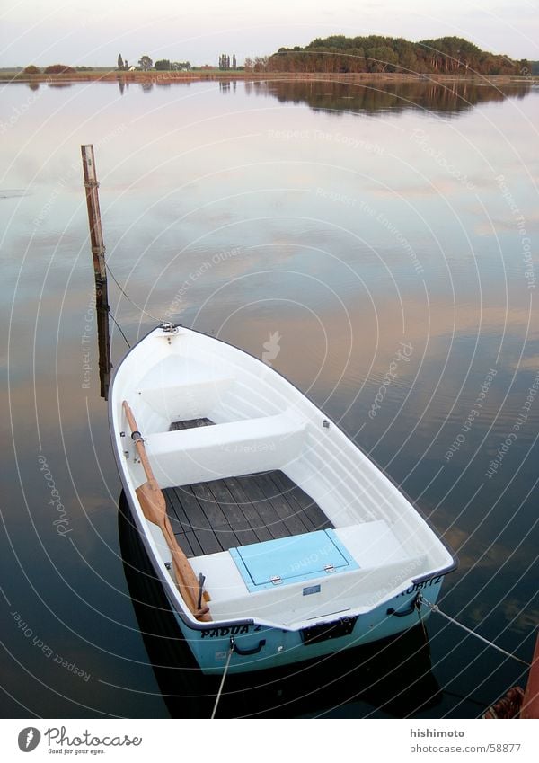 Still waters ... Watercraft Rowboat Ocean Multicoloured Rügen Calm Longing Open Lake Sunset Chance Possible Opportunity Exterior shot Reflection Sky Honest Pole