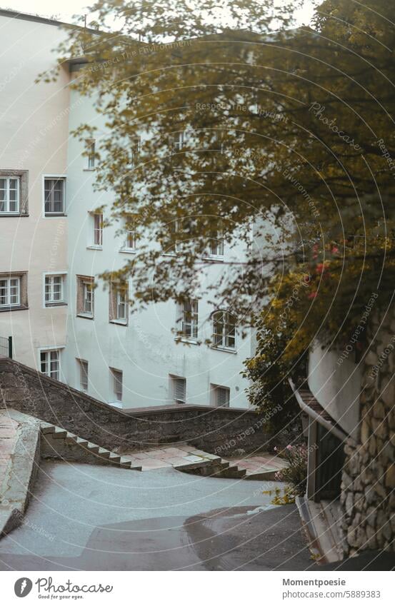 Salzburg Austria Salzburger Land salzburg historic city Old town old town house Colour photo Landscape Nature Town Deserted City life Tourism silent Calm