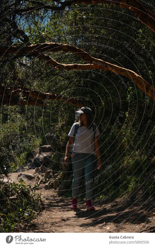 Woman observes the landscape while walking the path. Hiking Mountain Exterior shot Colour photo Environment hike Hiking trip Landscape Vacation & Travel Nature