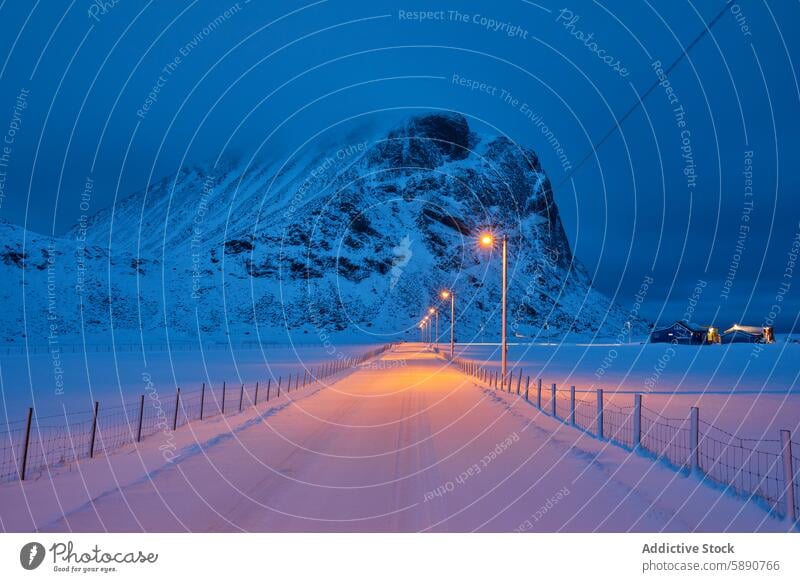 Wintry road leading to a mountain in Lofoten at dusk lofoten norway winter snow blue hour serene landscape street lamp tranquility cold outdoor nature travel