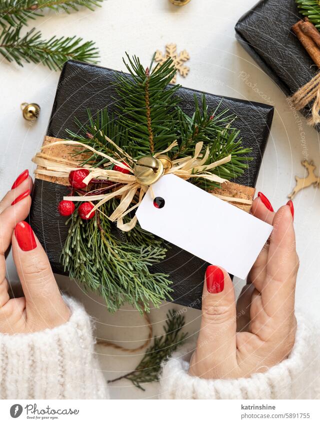 Hands with Christmas present with horizontal blank gift tag, with fir branches and decor, Mockup christmas hands mockup card black pine cone green paper