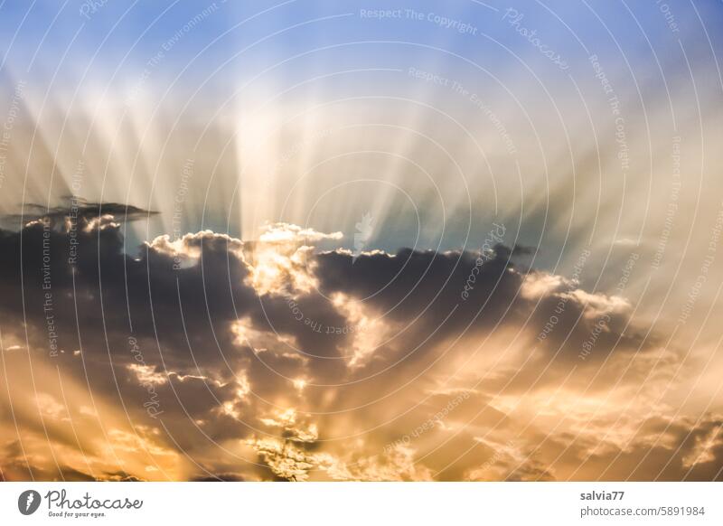 Play of light in the evening sky Sky Clouds rays Sunbeam Dusk Light Sunset Evening Sunlight Colour photo Visual spectacle Light (Natural Phenomenon) Twilight