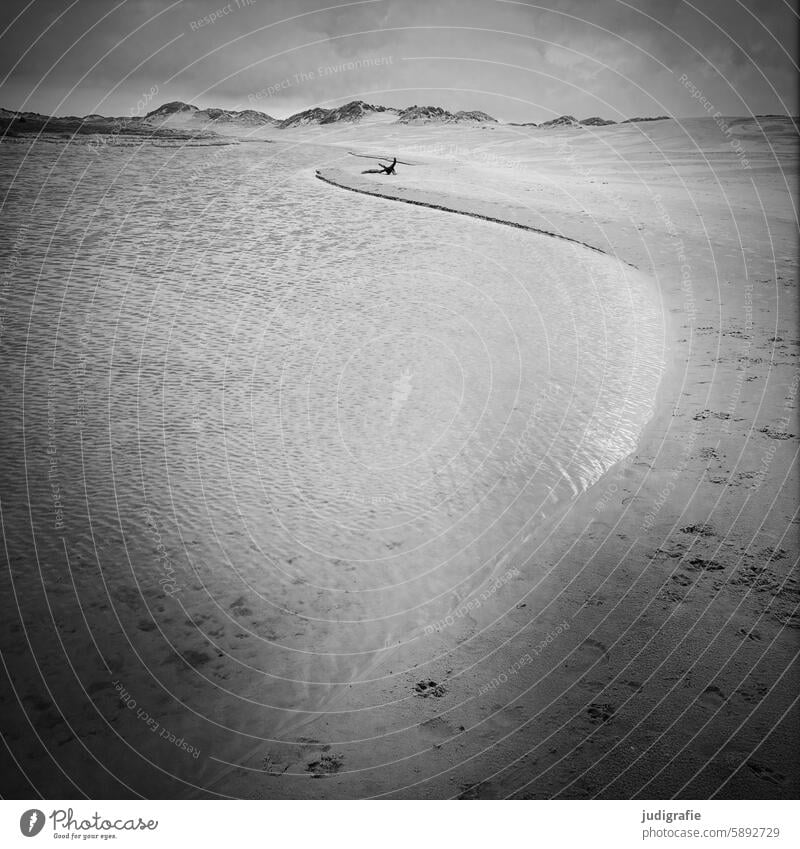 Råbjerg Mile Beach Sky Water Landscape Vacation & Travel Nature Sand Clouds Light Denmark Waves Square Black & white photo duene shifting dune North Sea coast