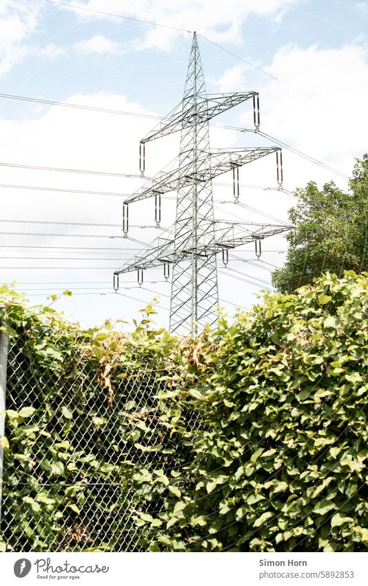 Electricity pylon behind an overgrown fence power line power supply Infrastructure Energy Energy industry Power transmission High voltage power line